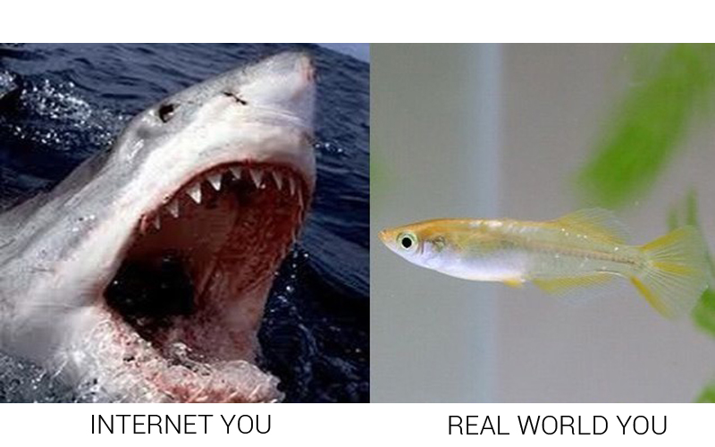 Illustration for article titled Japan's "Internet You Vs. the Real You" Meme